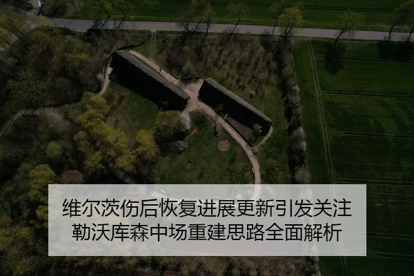 维尔茨伤后恢复进展更新引发关注 勒沃库森中场重建思路全面解析（Kaiyun）